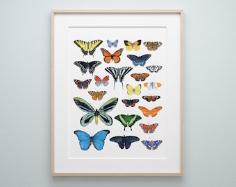 Butterflies Art Print Watercolor Wall Decor Butterfly Chart