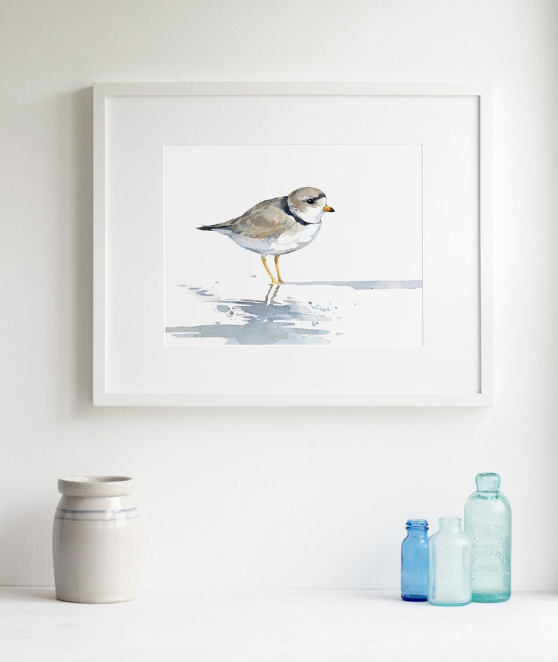 Piping Plover aquarel print strandloper strand schilderij Birdwatcher cadeau afbeelding 3