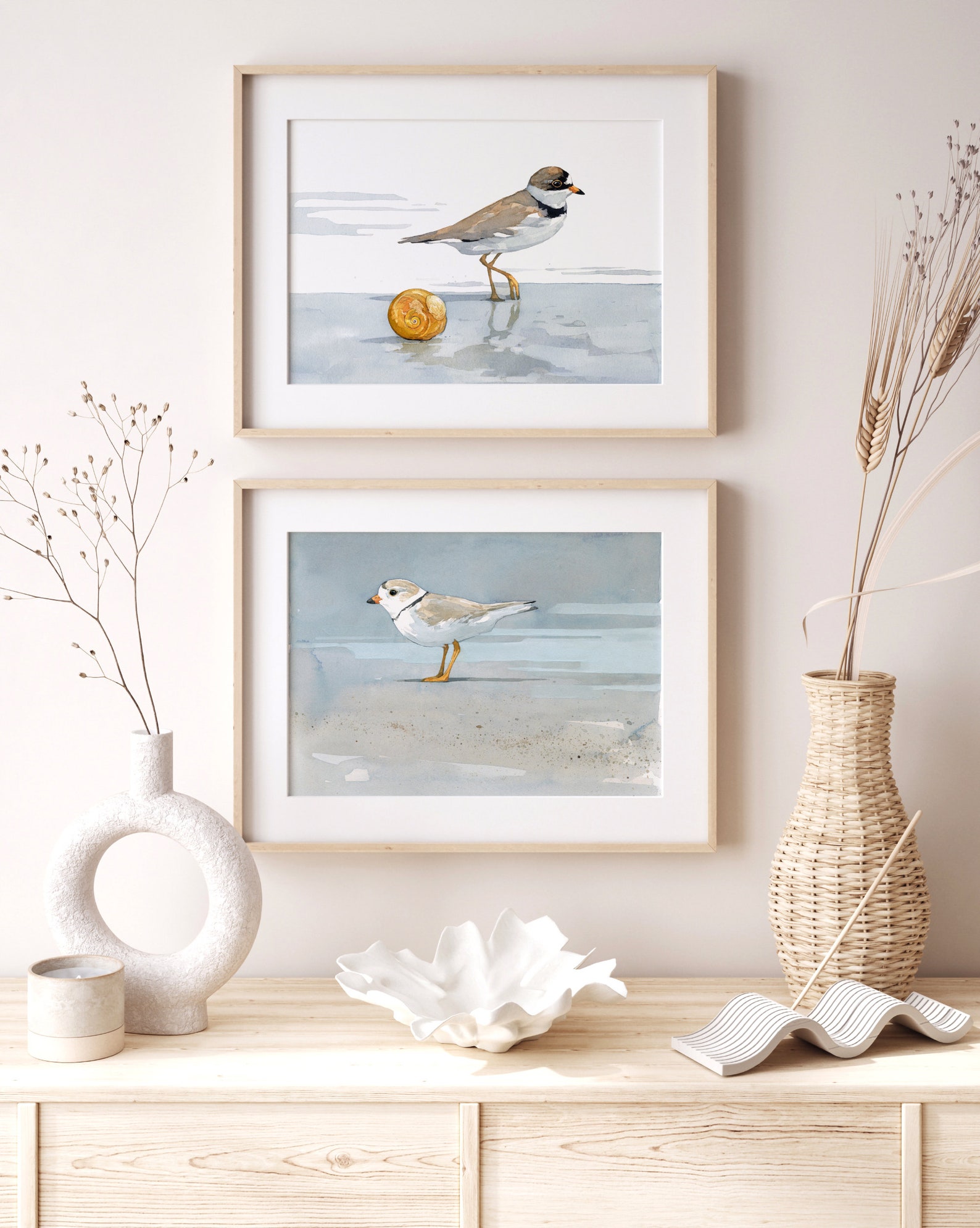 Semipalmated Plover Shorebird and Shell Watercolor Print - Etsy