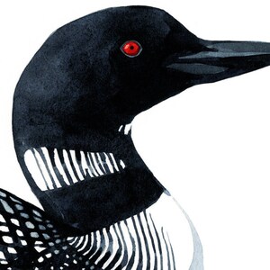 Loon Art Print Bird Watercolor Painting Coastal Wall Art, Lakehouse Decor image 5