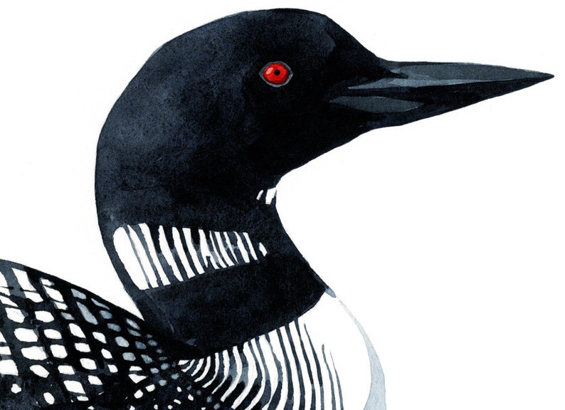 Loon Art Print Bird Watercolor Painting Coastal Wall Art, Lakehouse Decor image 5