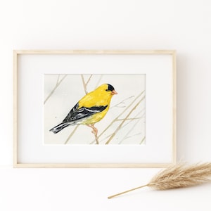Goldfinch Print Bird Watercolor Painting Wall Art Bird Watcher Gift