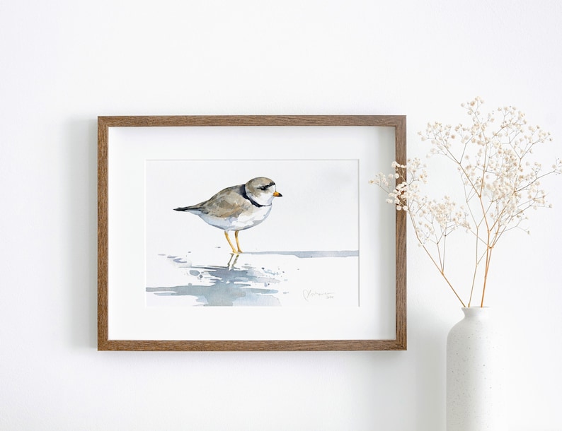 Piping Plover aquarel print strandloper strand schilderij Birdwatcher cadeau afbeelding 1