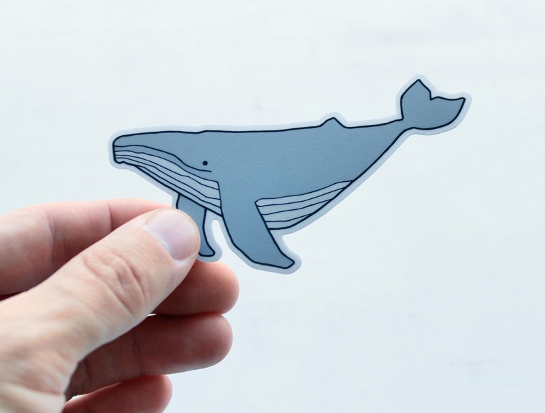 Whale Sticker Ocean Animal Laptop Sticker Waterproof Vinyl Art Sticker Decal image 3