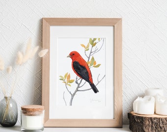 Scarlet Tanager Print Bird Watercolor Painting Print