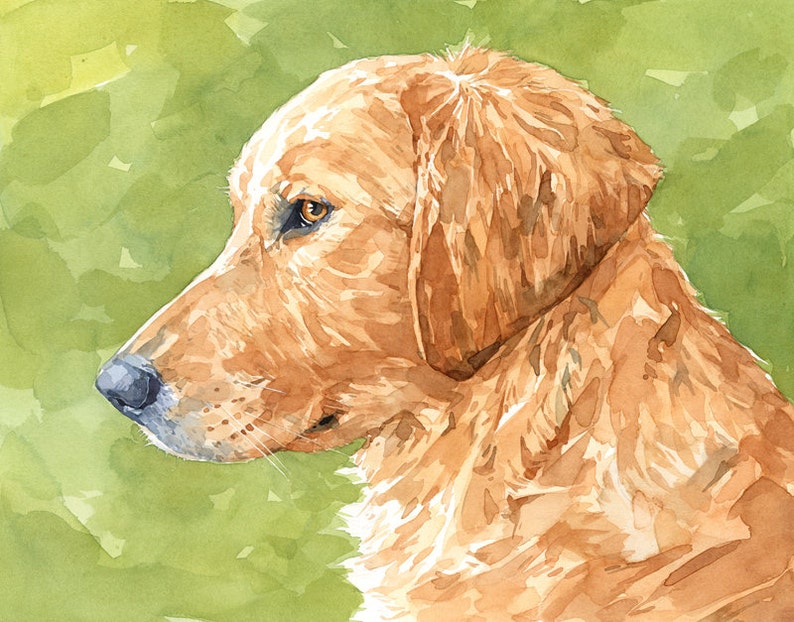 Golden Retriever Dog Print Watercolor 11x14 Limited Edition Print Dog Art Pet Portrait image 5