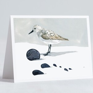 Shorebird Beach Card Set Mixed Bird Art Stationery Gift Set image 4