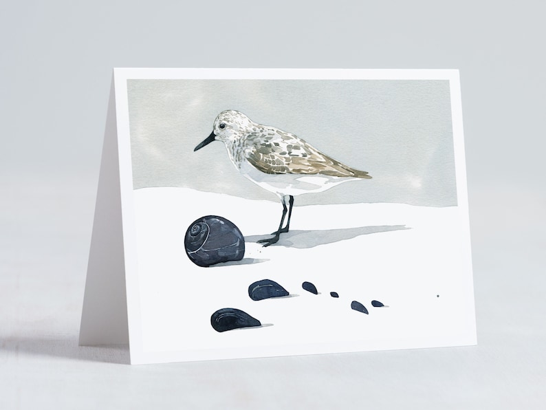 Shorebird Beach Card Set Mixed Bird Art Stationery Gift Set image 4