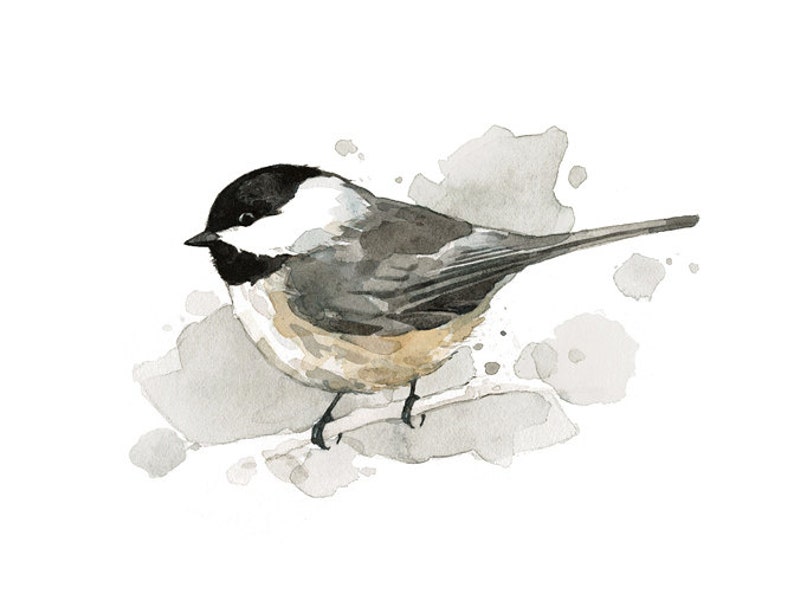 Chickadee Watercolor Painting Spring Bird Print Backyard Birdwatcher image 2