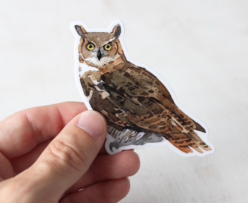 Puede incluir: Una ilustraci&oacute;n de acuarela de un b&uacute;ho marr&oacute;n y gris con ojos amarillos. El b&uacute;ho est&aacute; posado en una rama con las alas extendidas.