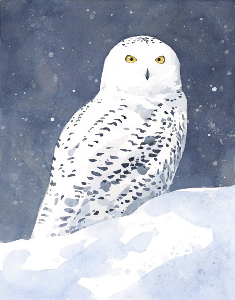 Snowy Owl Christmas Card Winter Bird Art Note Card - Etsy