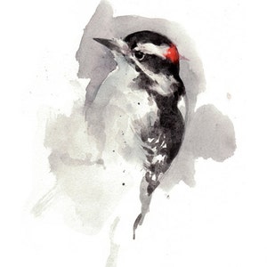 Woodpecker Watercolor Painting Art Print Home Office Decor image 2