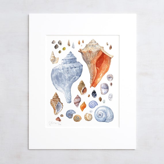 Sea Shells On Beach Drawing