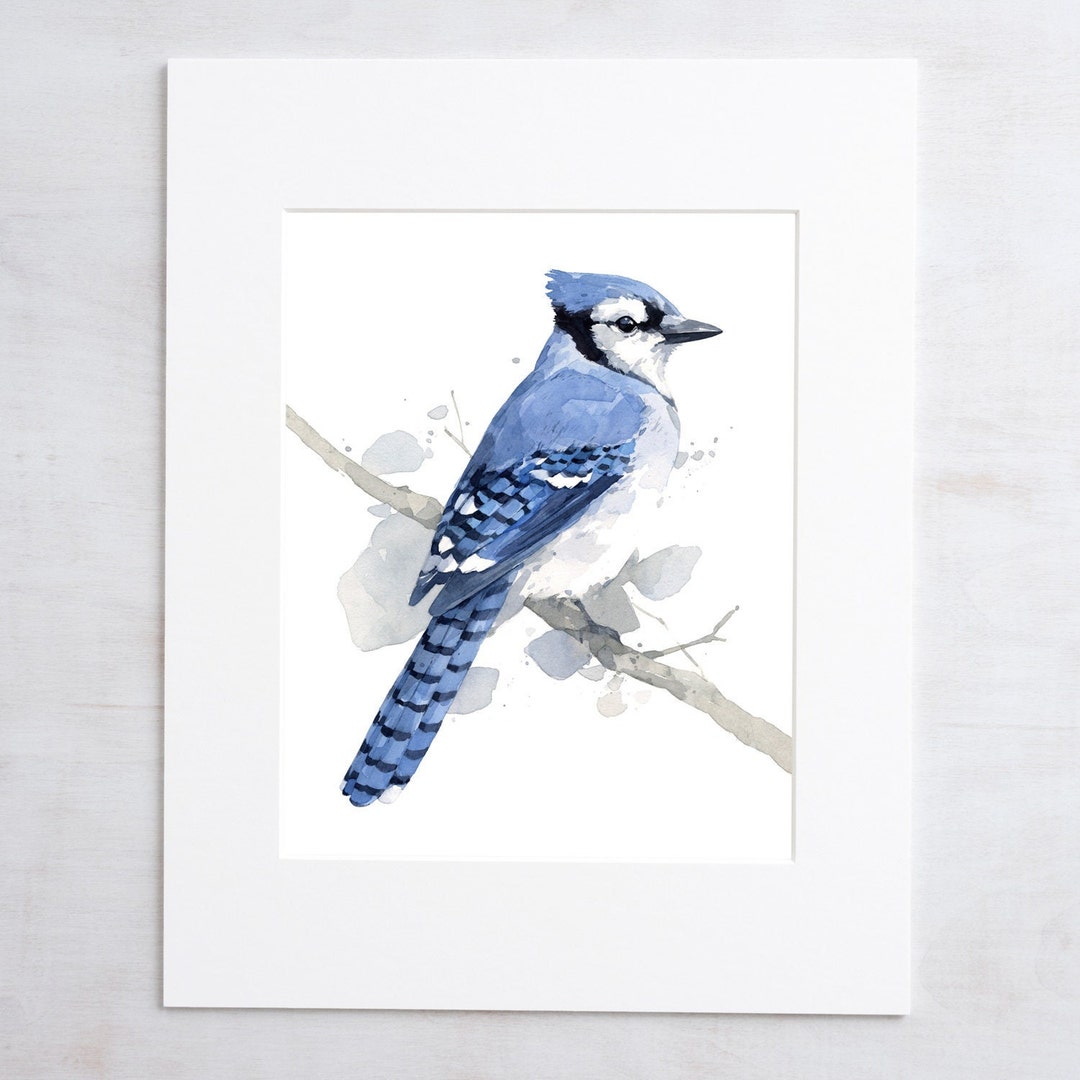 ブルージェイの水彩画：ファインアートの鳥のプリント - Etsy 日本