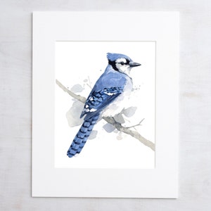 Blue Jay Print Bird Watercolor Painting Art Print image 1