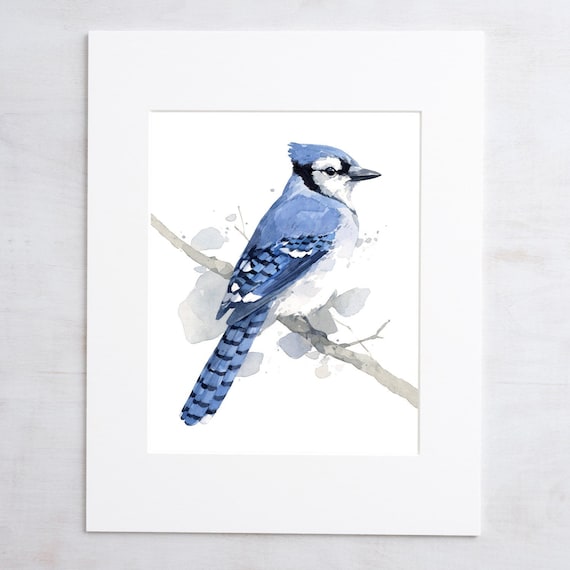 ブルージェイの水彩画：ファインアートの鳥のプリント - Etsy 日本