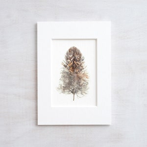 Pequena coruja com penas, pintura em aquarela da natureza