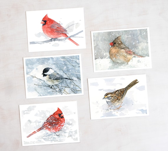 Watercolor Winter Bird Holiday Card Set (10 Cards) - Etsy
