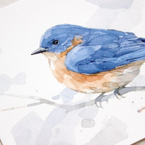 Bluebird Watercolor Print Woodland Painting Bird Decor Backyard Birdwatcher Gift 5x7 image 5