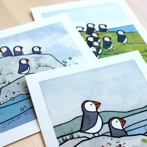 May include: Three watercolor paintings of puffins on a cliffside. The first painting shows a group of puffins standing on a cliff with the ocean in the background. The second painting shows a single puffin standing on a cliff with the ocean in the background. The third painting shows two puffins standing on a cliff with the ocean in the background. The paintings are signed by the artist, C. Scheirer, 2014.