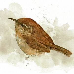 Carolina Wren Watercolor Painting 5x7 Print image 2