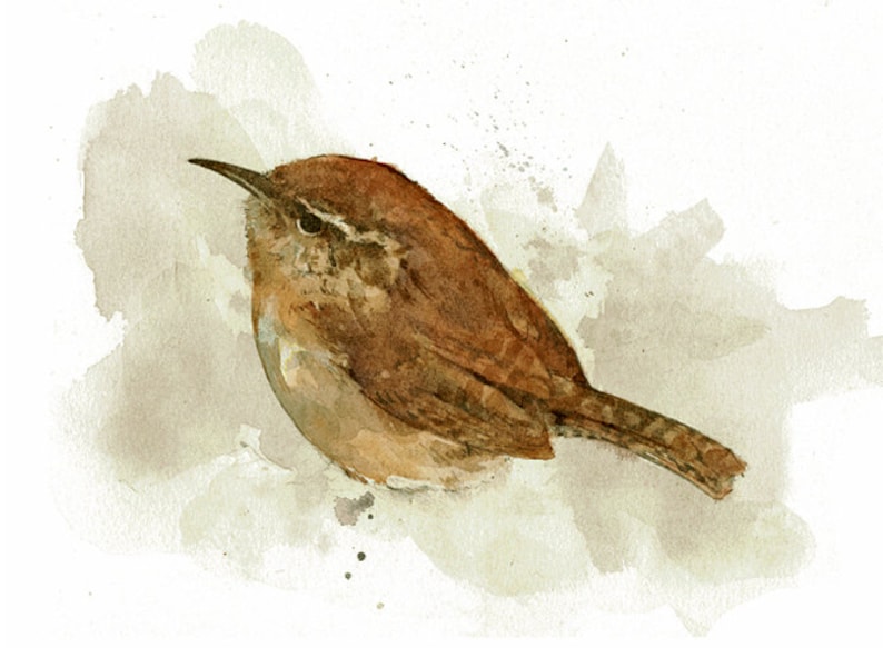 Carolina Wren Watercolor Painting 5x7 Print image 2