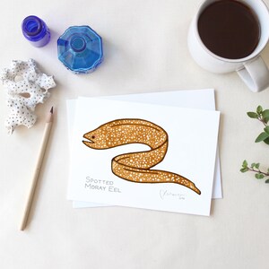 May include: A white card with a brown spotted moray eel illustration. The card is on a white surface with a pencil, blue ink bottles, a white coral piece, and a cup of coffee.