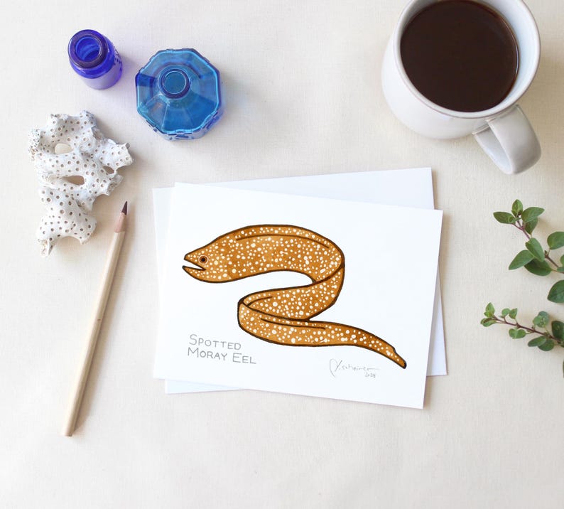 May include: A white card with a brown spotted moray eel illustration. The card is on a white surface with a pencil, blue ink bottles, a white coral piece, and a cup of coffee.