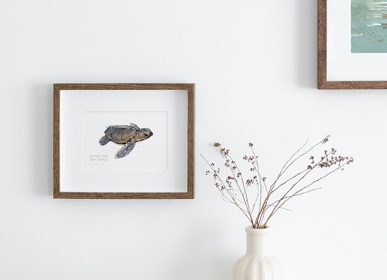 May include: A framed watercolor painting of a Loggerhead Sea Turtle hatchling. The painting is in a brown wooden frame and is hanging on a white wall.