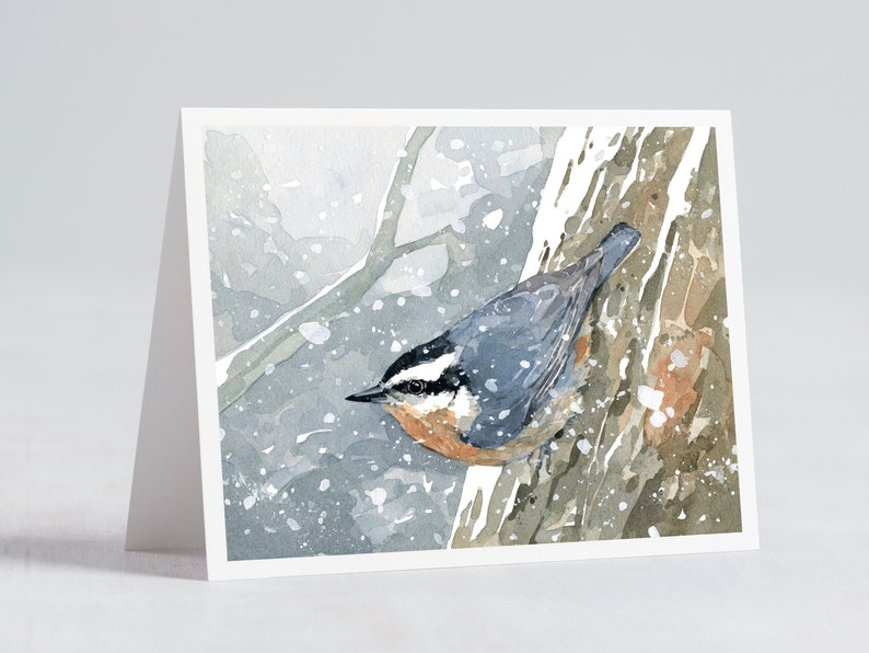 Winter Birds Holiday Cards Mixed Set 2 Birds in Snow Watercolor Christmas Card Set Festive Stationary image 2