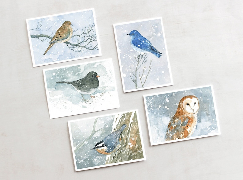 Winter Birds Holiday Cards Mixed Set 2 Birds in Snow Watercolor Christmas Card Set Festive Stationary image 1