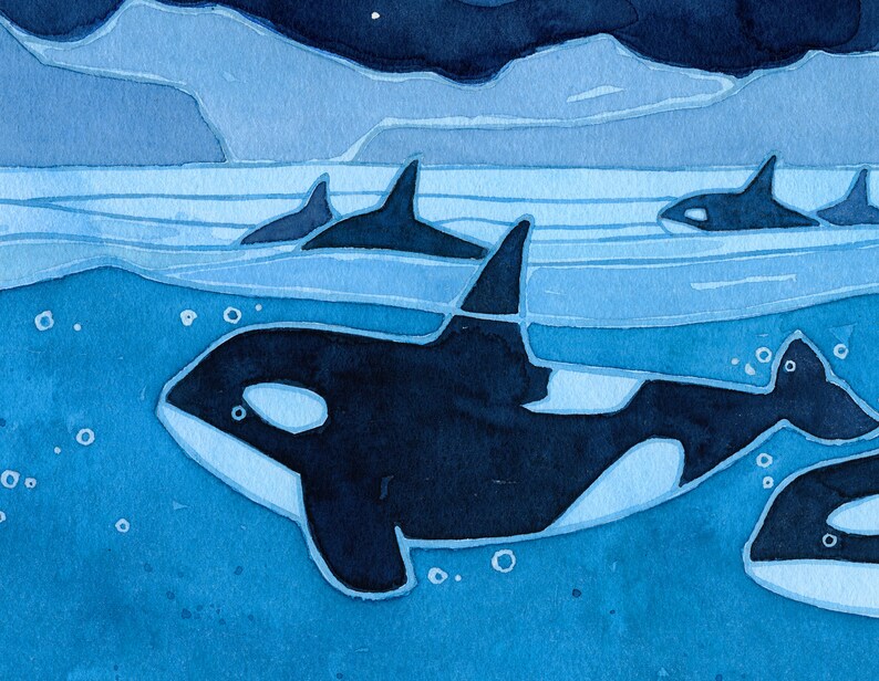 May include: A watercolor painting of a pod of orcas swimming in the ocean. The orcas are black and white and are swimming in a blue ocean. The background is a dark blue sky with white stars.