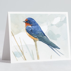May include: Watercolour painting of a blue and orange bird perched on a twig. The bird has a long tail and is set against a pale blue background.