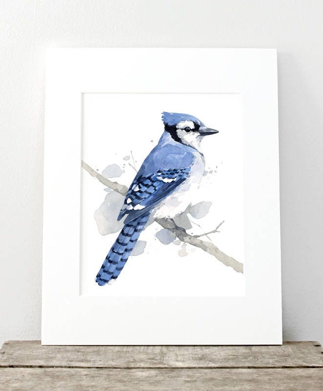 ブルージェイの水彩画：ファインアートの鳥のプリント - Etsy 日本