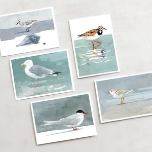 Juego de tarjetas de aves playeras, mezcla de aves playeras en acuarela 2