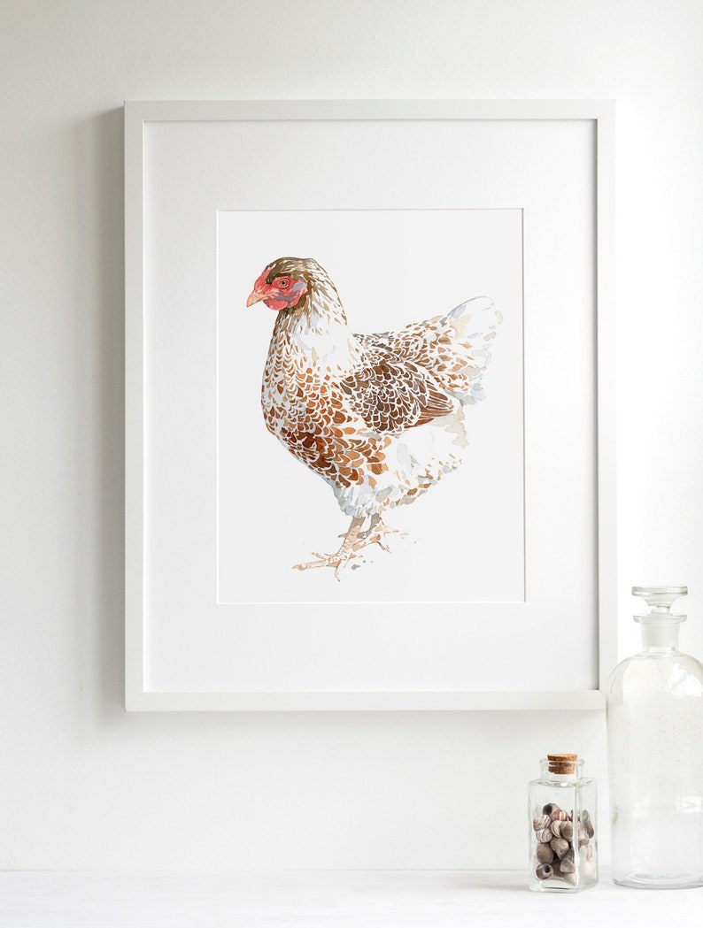 Chicken Watercolor Print White and Brown Hen Farm Animal Print image 4