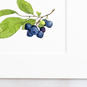 Blaubeeren Aquarell Print: Botanische Wandkunst Bild 2
