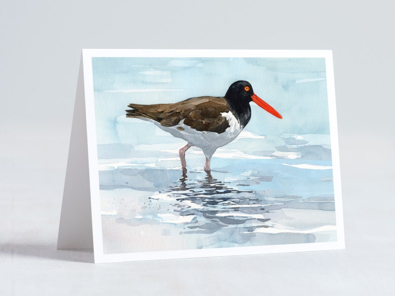 Shorebird Beach Card Set Mixed Bird Art Stationery Gift Set image 7