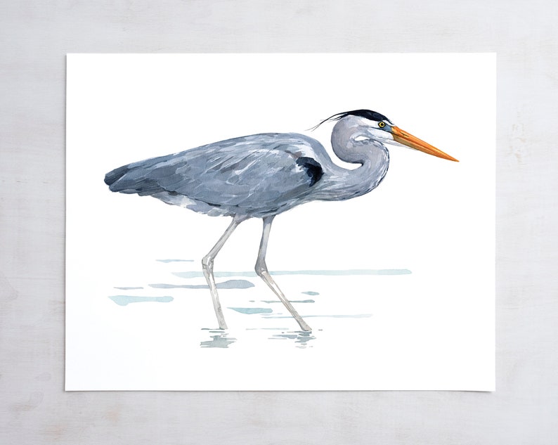 Great Blue Heron Watercolor Art Print Large Bird Art image 1