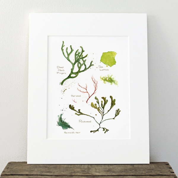 Seaweed Botanical Watercolor Art Print Beach Decor