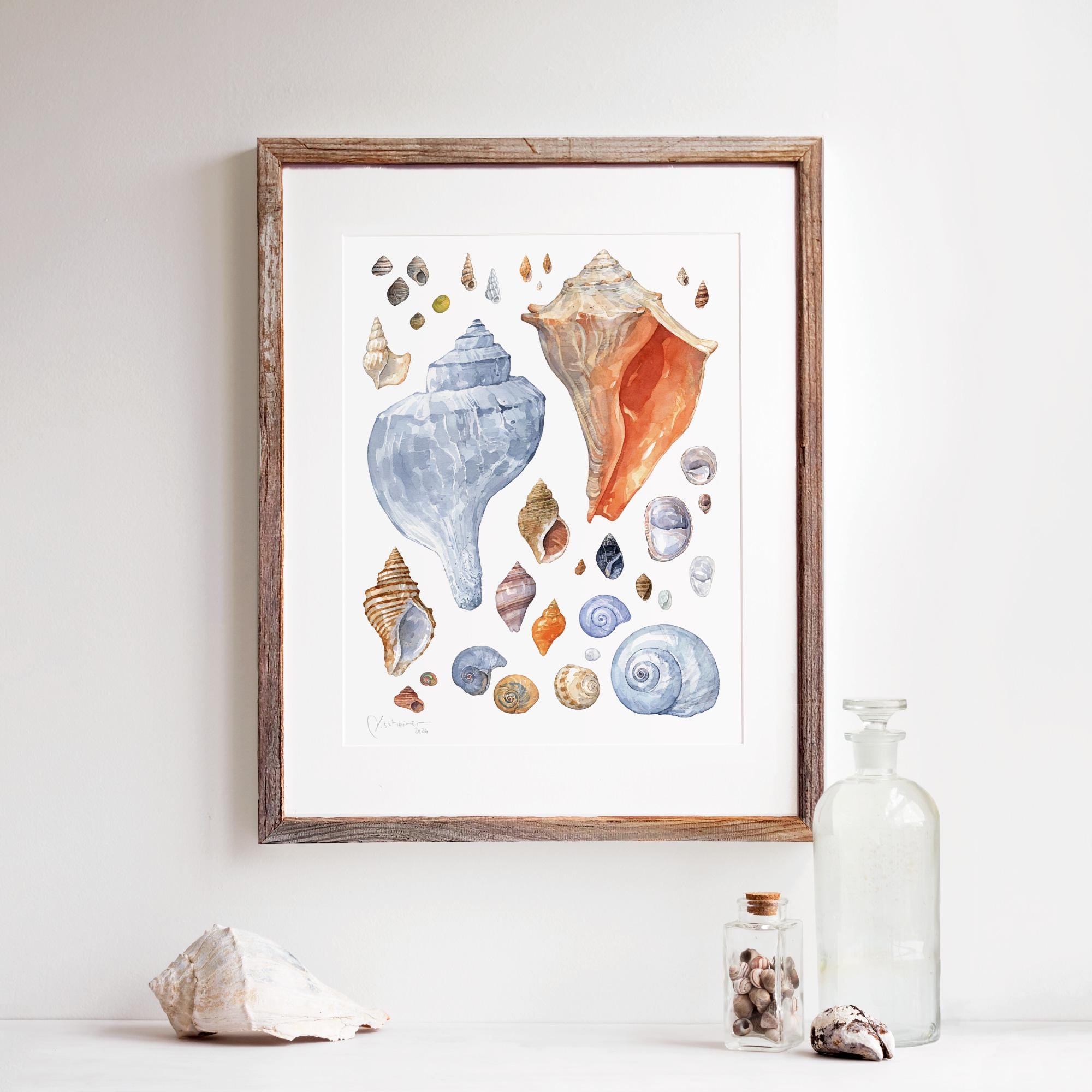 水彩画 壺と貝殻の作品 貝殻の水彩画プリント：海岸沿いのビーチハウスの装飾 - Etsy 日本