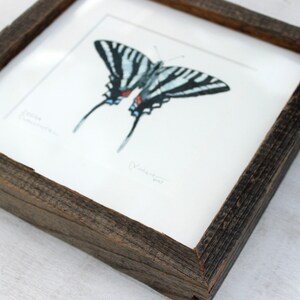 Zebra Swallowtail Butterfly Original Watercolor Painting Framed image 2