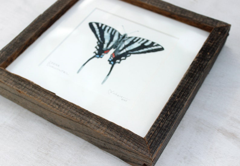 Zebra Swallowtail Butterfly Original Watercolor Painting Framed image 2