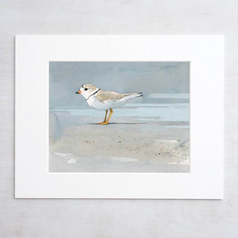 Piping Plover Beach Art Print Coastal Decor Seashore Wall Art image 1