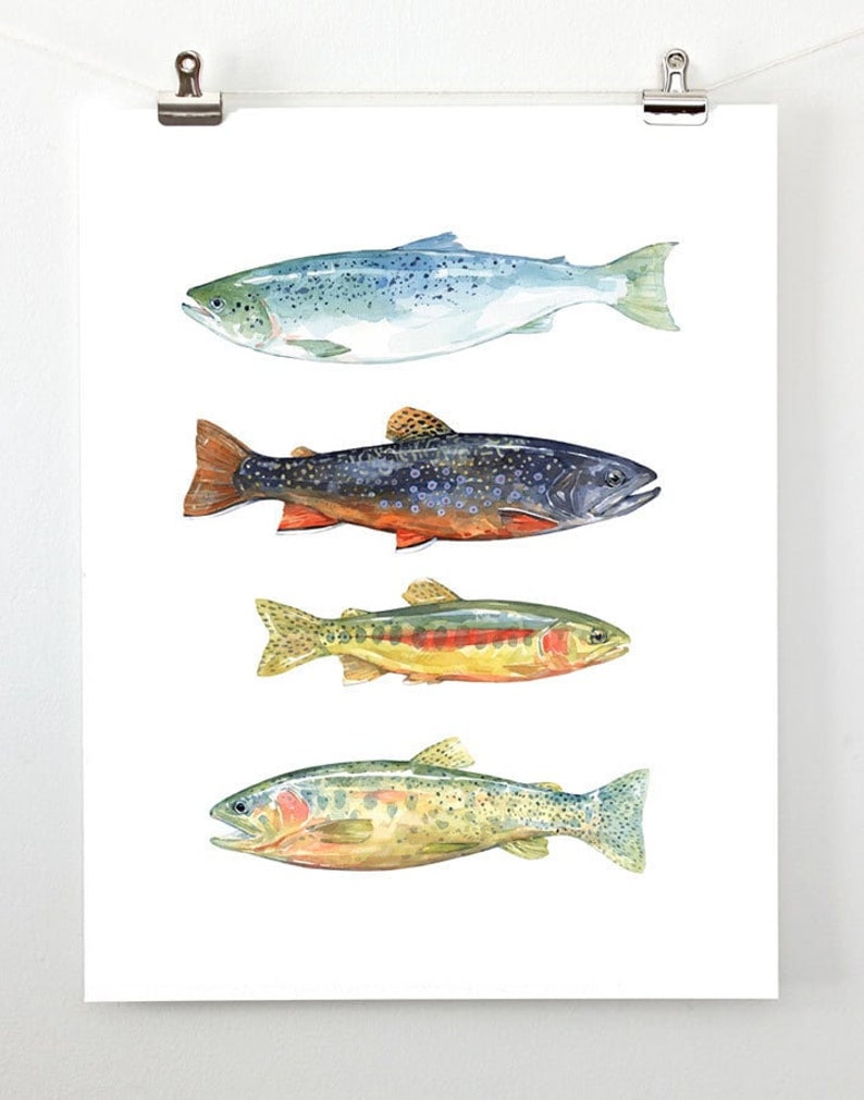 Trout Watercolor Art Print Fly Fishing Trout Painting Etsy