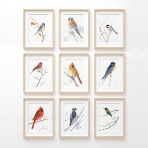 Downy Woodpecker Watercolor Print Woodland Painting Bird Watercolor image 3
