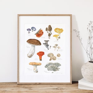 Edible Mushrooms Botanical Art Print: Woodland Fungi Watercolor Chart