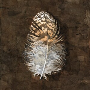 Owl Feather Watercolor Print Rustic Nature Art Print Decor 5x7 image 2