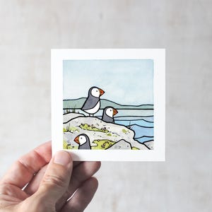 Papegaaiduiker aquarel illustratie afdruk