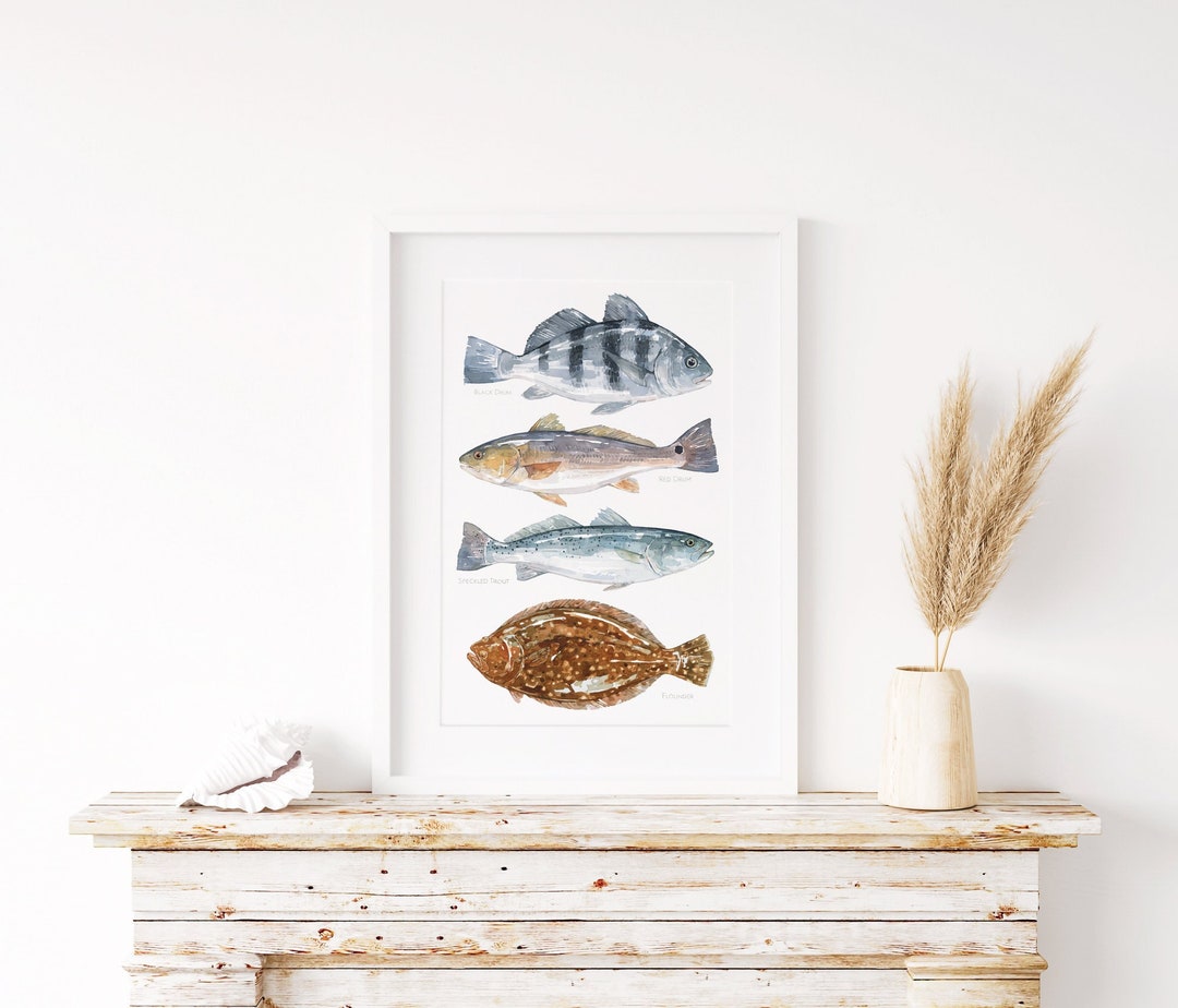 Buy Ocean Fish Art Print Saltwater Inshore Fish Watercolor Red Drum Black  Drum Flounder Speckled Trout Online in India 